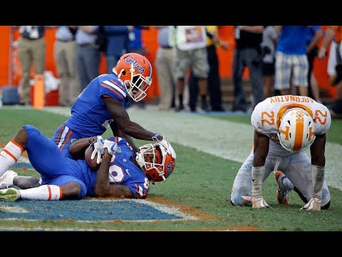 gators